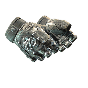 ★ Broken Fang Gloves | Unhinged (Well-Worn)