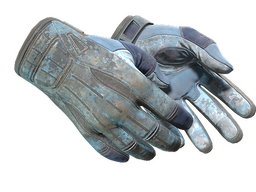 ★ Sport Gloves | Frosty