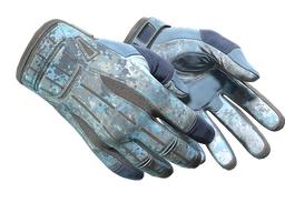 ★ Sport Gloves | Frosty