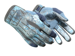 ★ Sport Gloves | Frosty