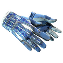 ★ Sport Gloves | Amphibious (Field-Tested)