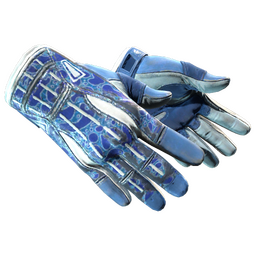 ★ Sport Gloves | Amphibious (Field-Tested)
