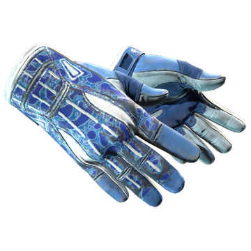 ★ Sport Gloves | Amphibious (Field-Tested)
