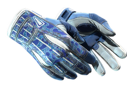 ★ Sport Gloves | Amphibious