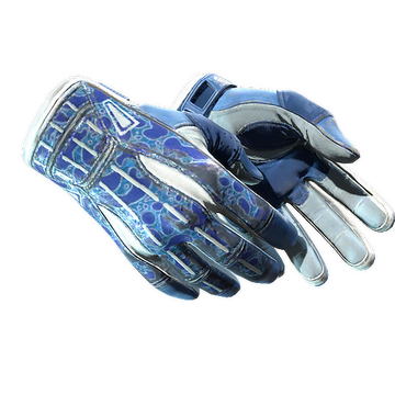 ★ Sport Gloves | Amphibious (Field-Tested)