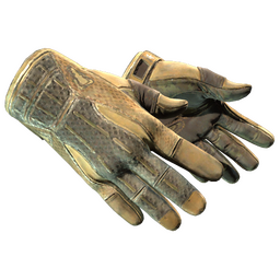 ★ Sport Gloves | Arid (Battle-Scarred)