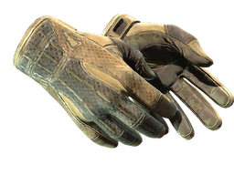 ★ Sport Gloves | Arid