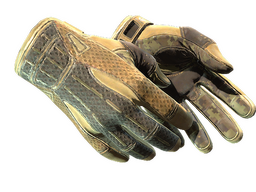 ★ Sport Gloves | Arid