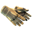 ★ Sport Gloves | Arid (Well-Worn)