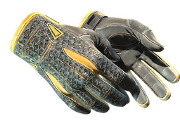 ★ Sport Gloves | Omega (Well-Worn)
