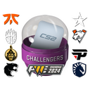 Shanghai 2024 Challengers Sticker Capsule