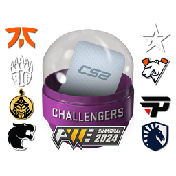 Shanghai 2024 Challengers Sticker Capsule