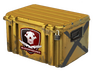 Falchion Case