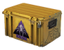 Shattered Web Case