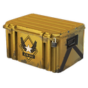 Winter Offensive Weapon Case