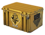 Spectrum Case