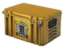 Glove Case