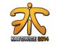 Sticker | Fnatic (Holo) | Katowice 2014