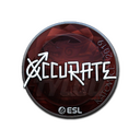 Sticker | xccurate (Foil) | Katowice 2019