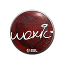 Sticker | woxic | Katowice 2019