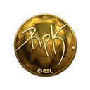 Sticker | RpK (Gold) | Katowice 2019