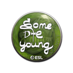 Sticker | sdy | Katowice 2019