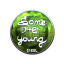 Sticker | sdy (Foil) | Katowice 2019