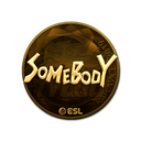 Sticker | somebody (Gold) | Katowice 2019
