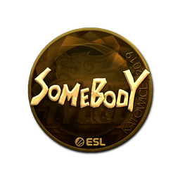 Sticker | somebody (Gold) | Katowice 2019