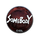 Sticker | somebody (Foil) | Katowice 2019