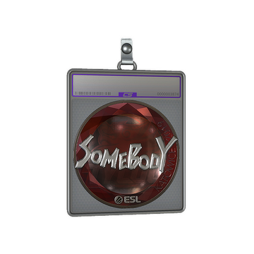 Sticker Slab | somebody (Foil) | Katowice 2019