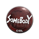 Sticker | somebody | Katowice 2019