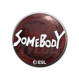 Sticker | somebody | Katowice 2019