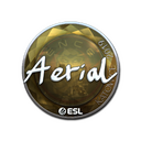 Sticker | Aerial (Foil) | Katowice 2019