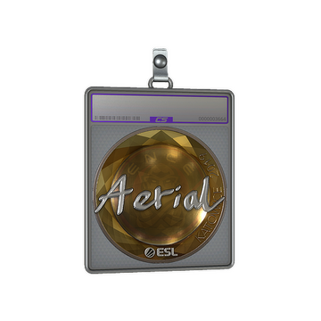 Sticker Slab | Aerial (Foil) | Katowice 2019