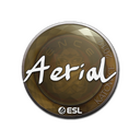 Sticker | Aerial | Katowice 2019