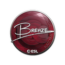 Sticker | Brehze | Katowice 2019