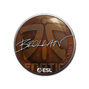 Sticker | Brollan | Katowice 2019