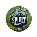 Sticker | Team Spirit | Katowice 2019