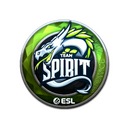 Sticker | Team Spirit (Foil) | Katowice 2019