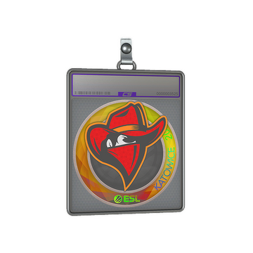 Sticker Slab | Renegades (Holo) | Katowice 2019