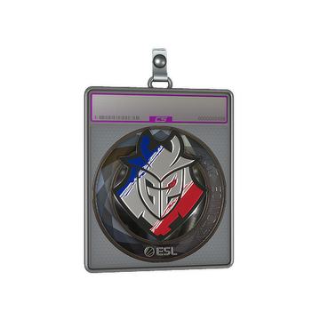 Sticker Slab | G2 Esports (Foil) | Katowice 2019