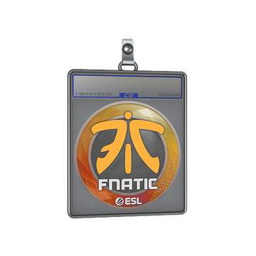 Sticker Slab | Fnatic | Katowice 2019