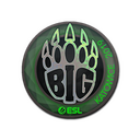Sticker | BIG (Holo) | Katowice 2019
