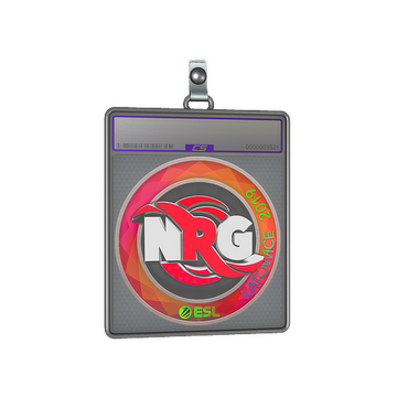 Sticker Slab | NRG (Holo) | Katowice 2019