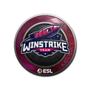 Sticker | Winstrike Team | Katowice 2019