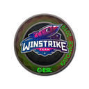 Sticker | Winstrike Team (Holo) | Katowice 2019