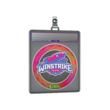 Sticker Slab | Winstrike Team (Holo) | Katowice 2019