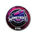 Sticker | Winstrike Team (Foil) | Katowice 2019
