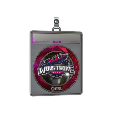 Sticker Slab | Winstrike Team (Foil) | Katowice 2019